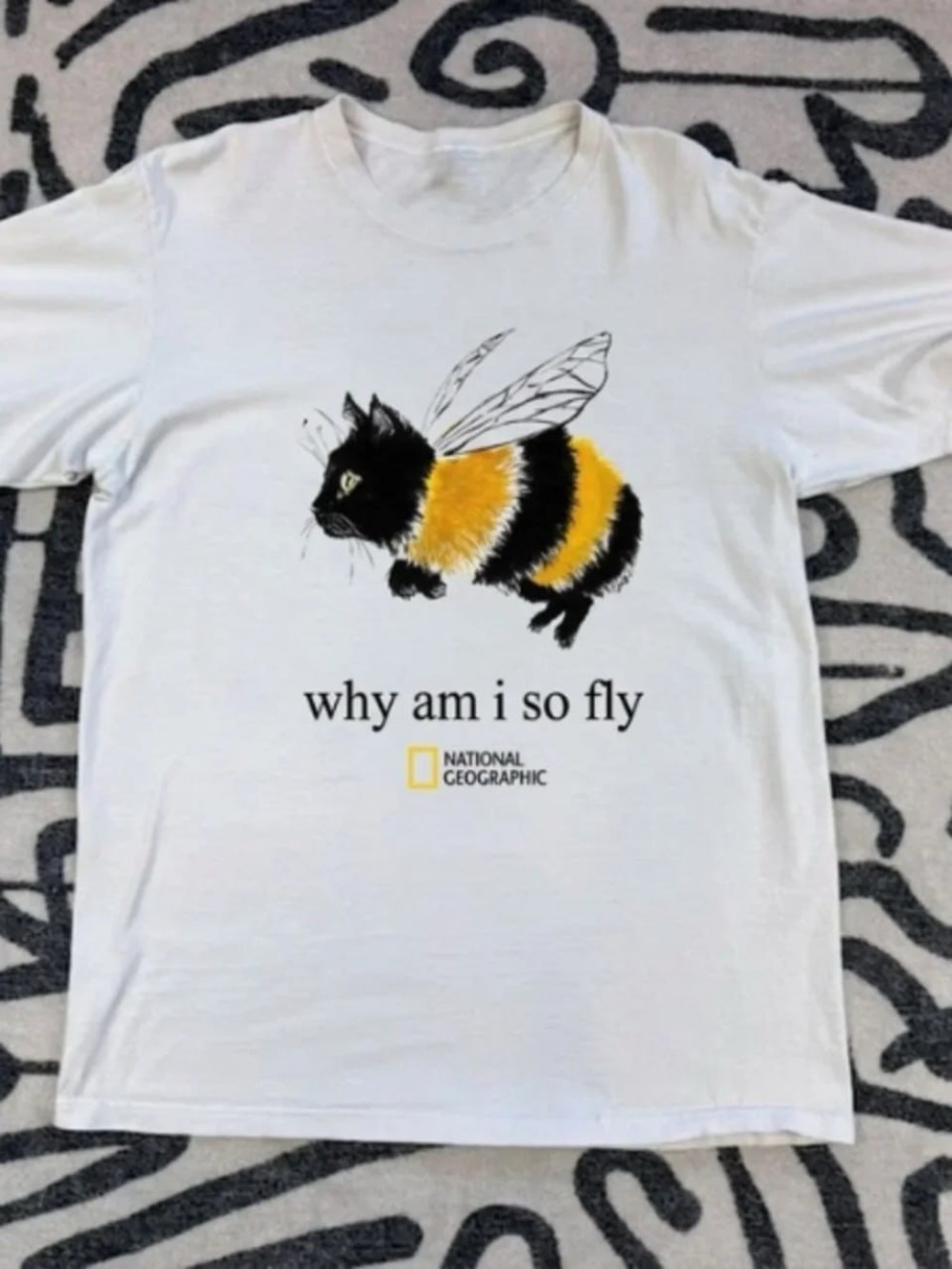 Why am I so fly cat bee graphic shirt, funny meme tee